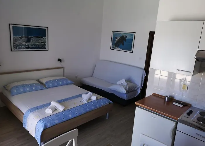 Martin プリモシュテン